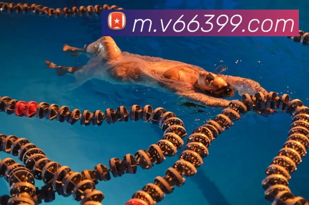 V66体育平台生态图